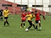 pgsi2014_14