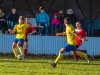 dorast-slavia-13